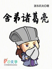 舍弟诸葛亮